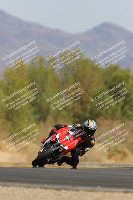 media/Apr-12-2025-Race Pace (Sat) [[9230add55f]]/Vested/8-Turn 7 (212pm)/